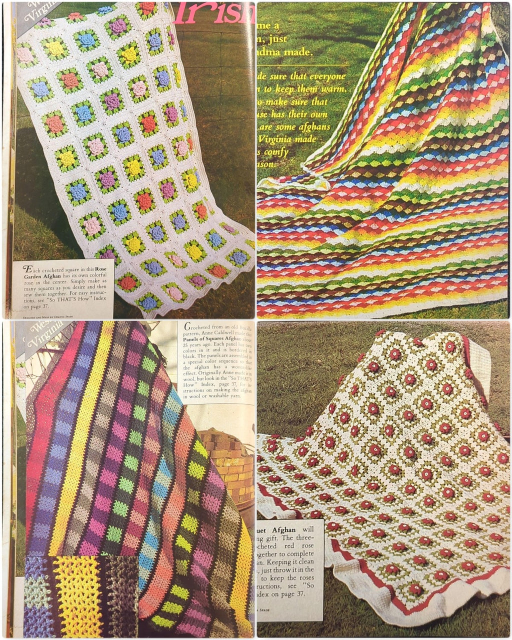 AFGHANS (Special Fall Issue), Fall 1982 (Vol. 3, No. 2)