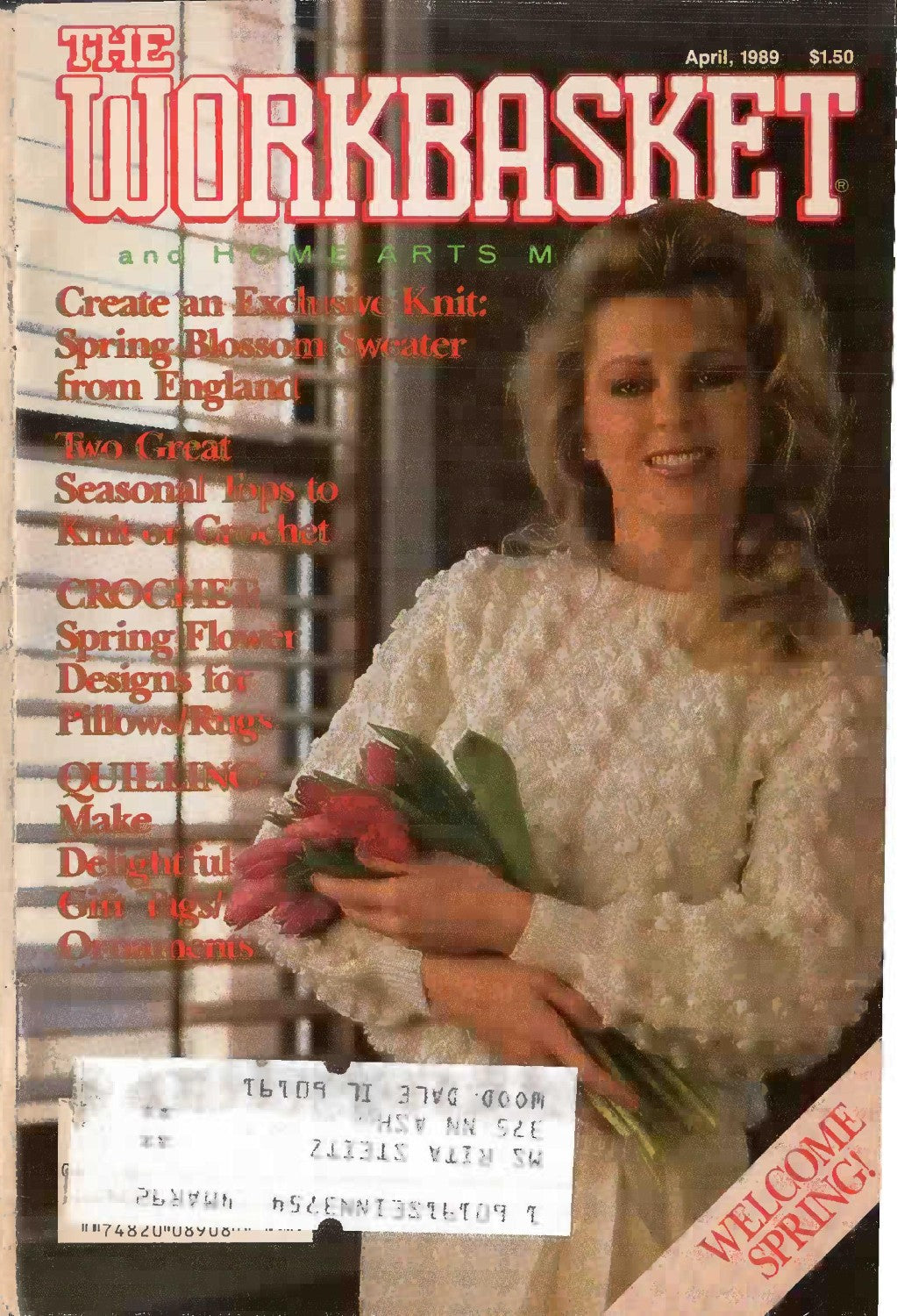 The Workbasket and Home Arts Magazine, April 1989 (Volume 54, Number 6)