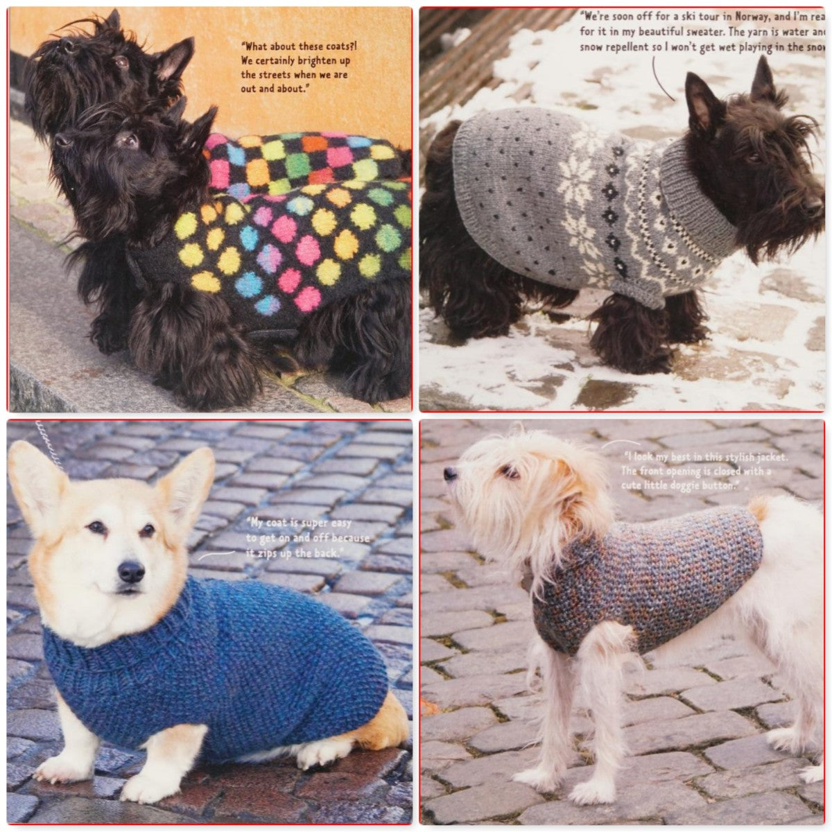 Dress Your Dog (2009)