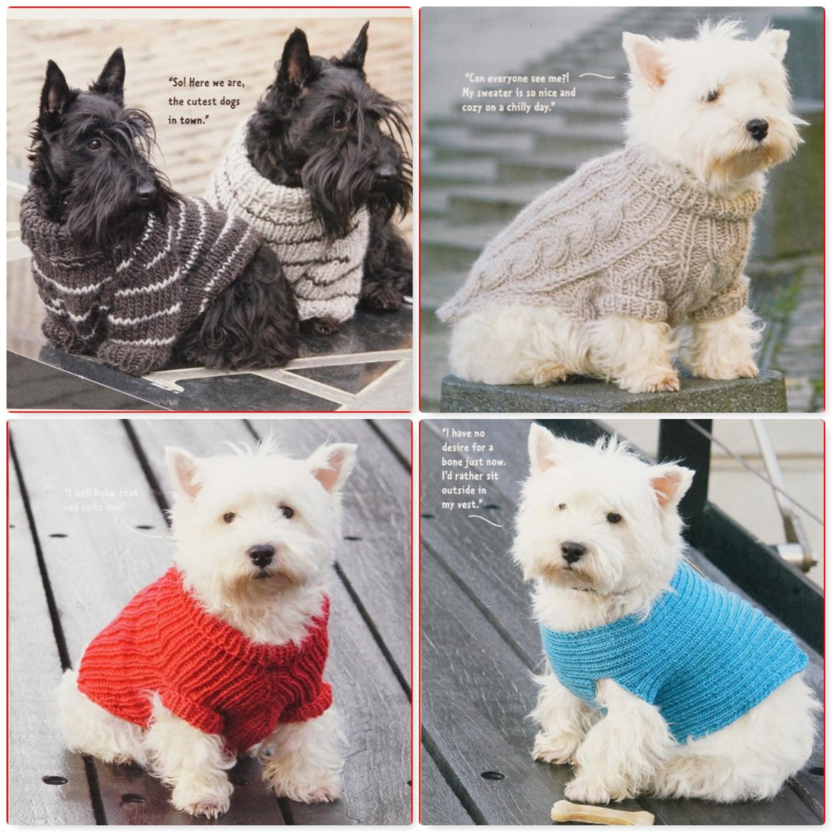 Dress Your Dog (2009)