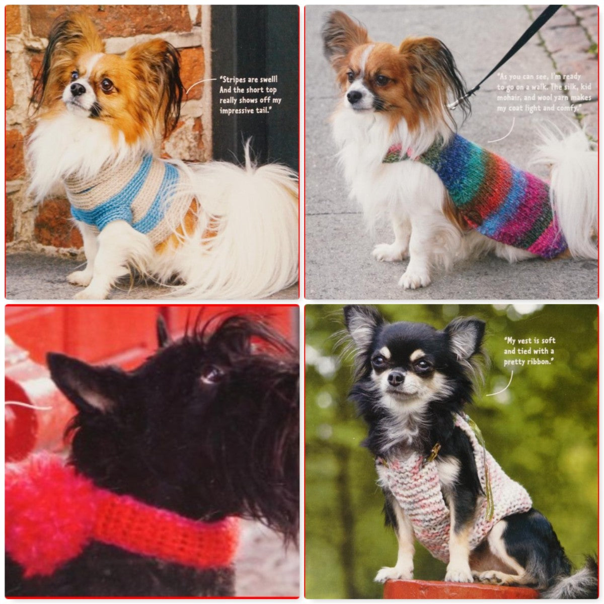 Dress Your Dog (2009)