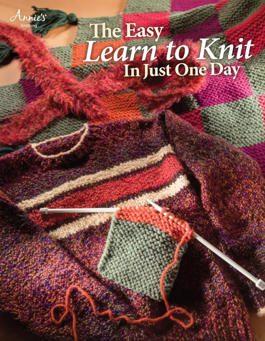 The Easy Learn to Knit in Just One Day™ (2005)
