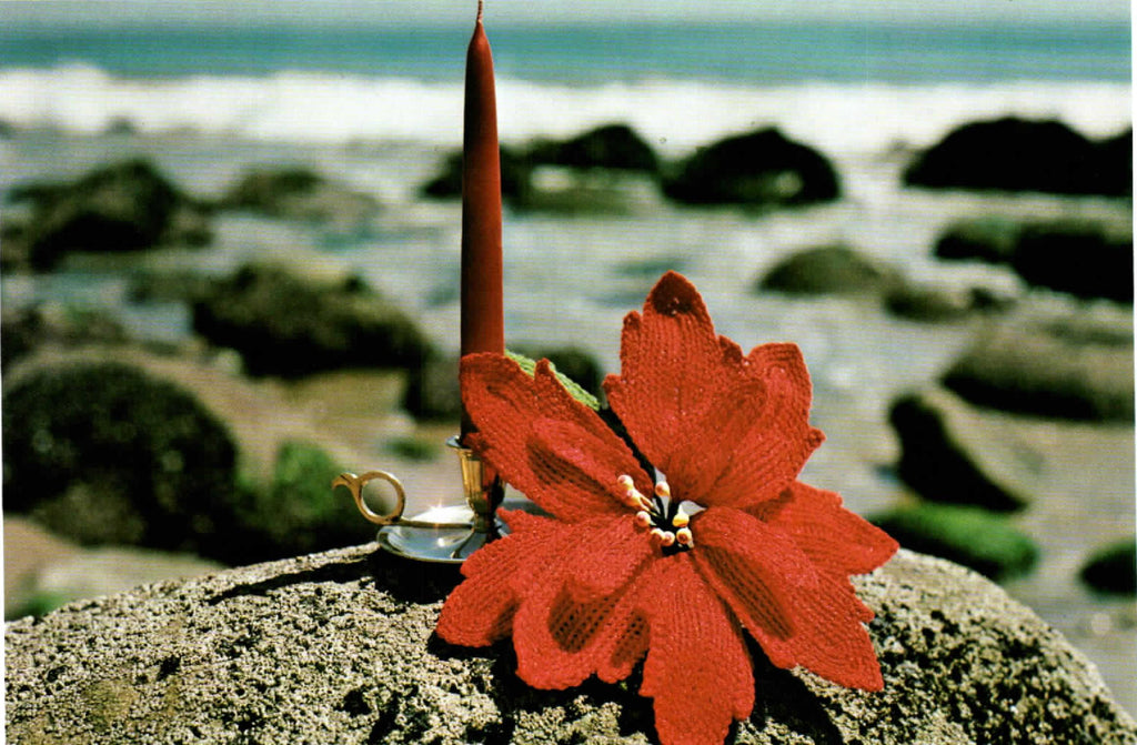 Lady Alice's Perfect Poinsettia Picture Book (1978)