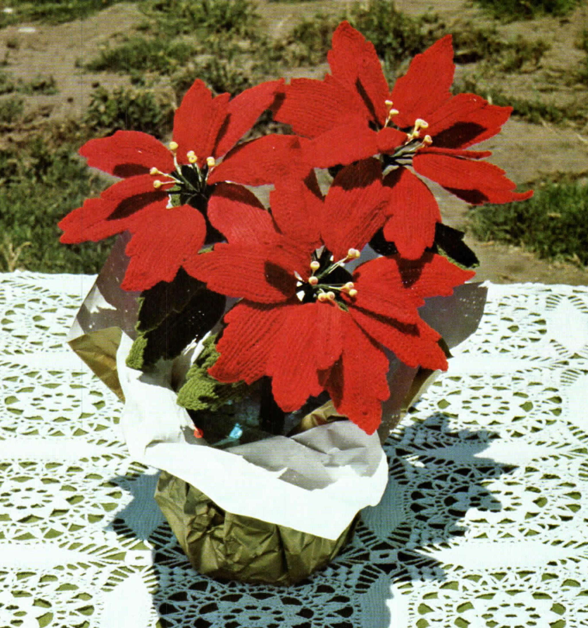 Lady Alice's Perfect Poinsettia Picture Book (1978)